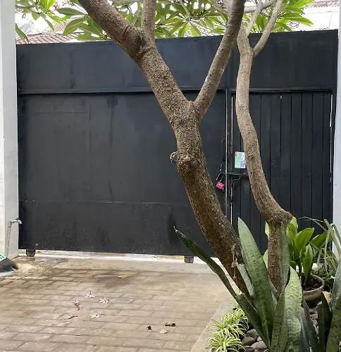 Casa Ovara - 8 Min To Berawa - 2 Beds * Canggu